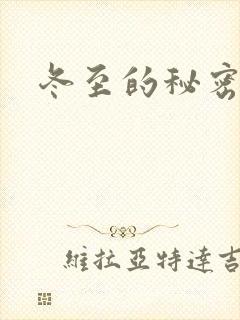 冬至的秘密封面