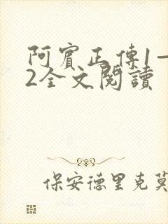 阿宾正传1—72全文阅读封面
