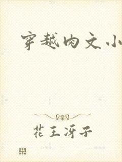 穿越肉文小说