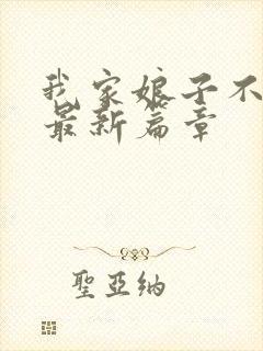 我家娘子不对劲最新篇章