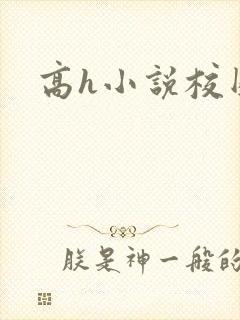 高h小说校园