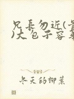 兄长勿近(骨科)大包子容华