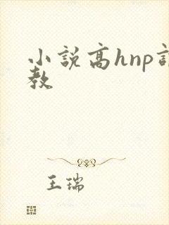 小说高hnp调教