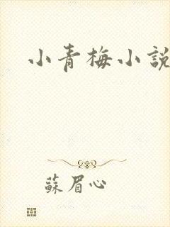 小青梅小说封面