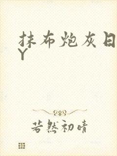 抹布炮灰日记BY封面