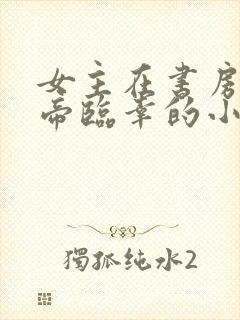 女主在书房被皇帝临幸的小说