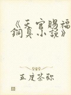 《天官赐福墨香铜臭小说》封面