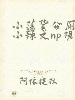 小荡货公厕h文小辣文np视频封面