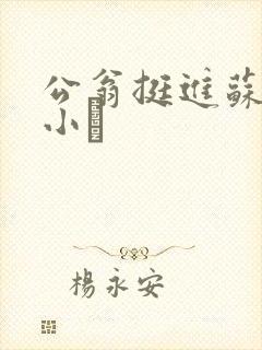 公翁挺进苏玥的小泬