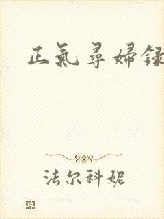 正气寻妇录