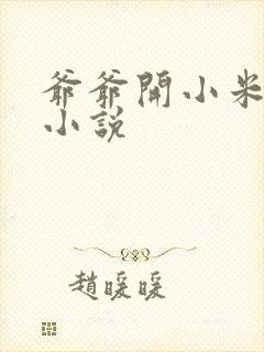 爷爷开小米的包小说