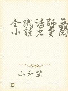 全职法师无弹窗小说免费阅读