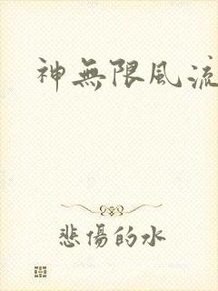 神无限风流封面