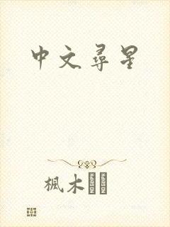 中文寻星