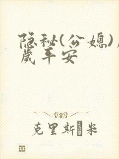 隐秘(公媳)岁岁平安封面