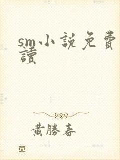 sm小说免费阅读