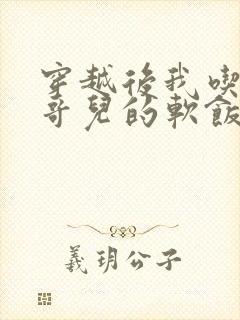 穿越后我吃到了哥儿的软饭炉山灰封面