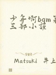 少年啊bgm第三部小说
