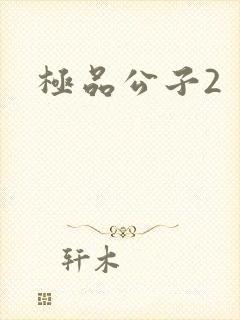 极品公子2