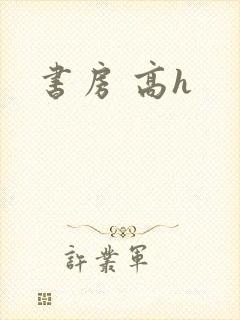 书房 高h