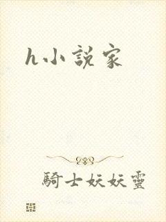 h小说家