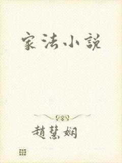家法小说封面