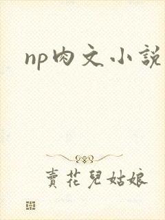 np肉文小说