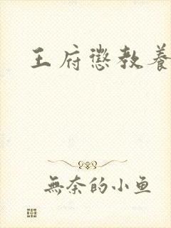 王府惩教养日常