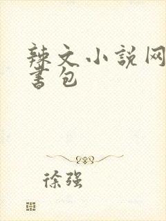 辣文小说网第二书包