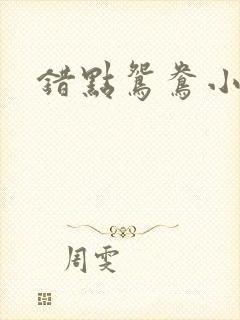 错点鸳鸯小说封面