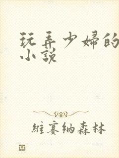 玩弄少妇的悲哀小说