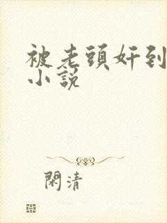 被老头奸到爽的小说封面