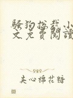 骚狗总裁小说全文免费阅读最新章节