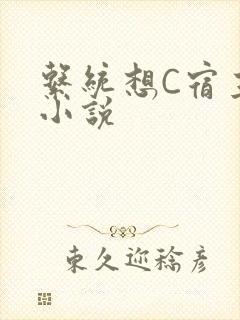 系统想C宿主的小说