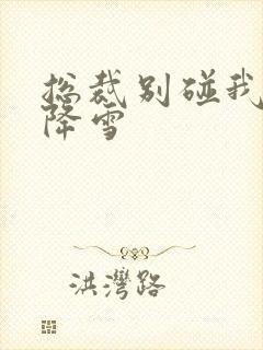 总裁别碰我 韩降雪