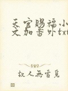 天官赐福小说全文加番外txt