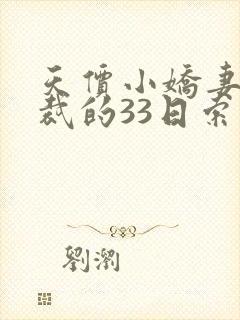 天价小娇妻:总裁的33日索情