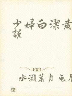 少妇白洁黄色小说