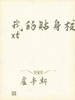 我的贴身校花txt