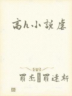 高h小说虐