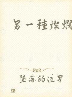 另一种灿烂生活