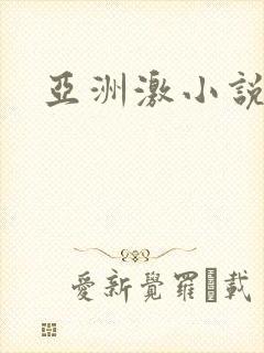 亚洲激小说封面