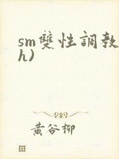 sm双性调教(h)