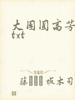 大团圆高芳小说txt