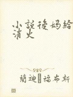 小说后妈给我消消火