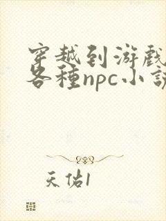 穿越到游戏里和各种npc小说封面