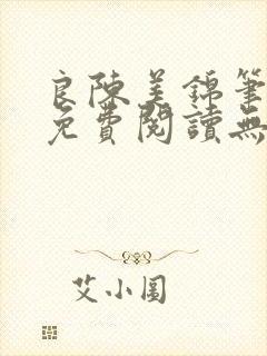 良陈美锦笔趣阁免费阅读无弹窗