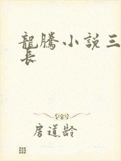 龙腾小说三宝局长