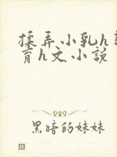揉弄小乳h帮发育h文小说