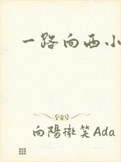 一路向西小说封面